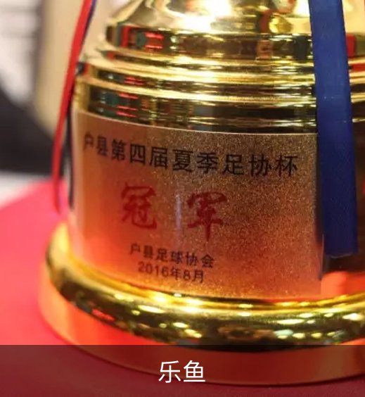 了解乐鱼