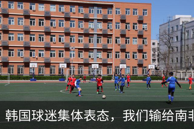 韩国球迷集体表态，我们输给南非，是因为中国国足坑了我们